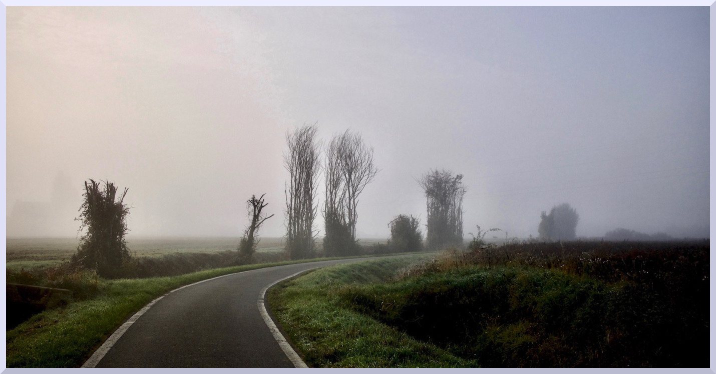 Brouillard