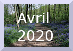Archive avril 2020
